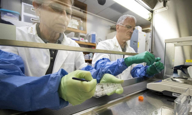 Ευλογιά των πιθήκων: Περισσότερα απο 200 κρούσματα σε όλο τον κόσμο, σύμφωνα με το ECDC