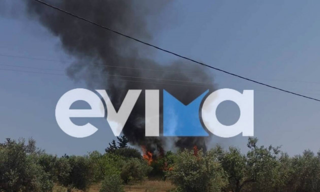 Εύβοια: Φωτιά σε δασική έκταση κοντά στην Ερέτρια