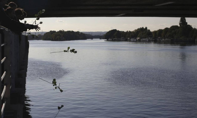 Γαλλία: Πέθανε η όρκα που είχε εντοπιστεί στον Σηκουάνα