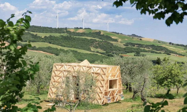 Διανυκτέρευση σε Airbnb περιτριγυρισμένο με πάνω από ένα εκατομμύριο μέλισσες (photos)