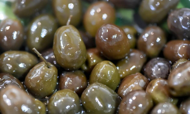 Απόφαση ΣτΕ: Ποιες ελιές είναι «ΠΟΠ Καλαμάτας» και ποιες χαρακτηρίζονται ως ελιές Καλαμών
