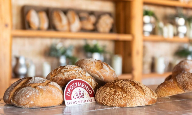 Η Puratos Ελλάς λανσάρει το νέο ενεργό προζύμι Sapore ΕΛΕΝΑ