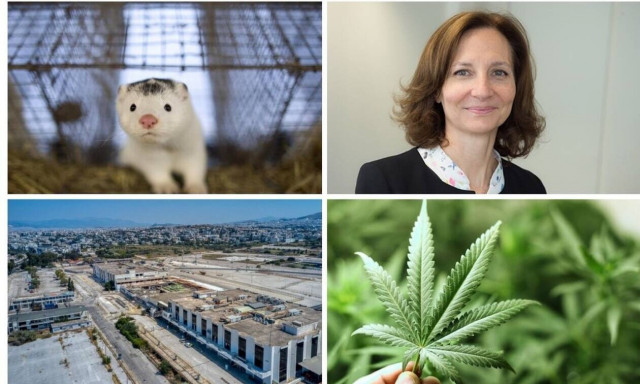 Οι αντικειμενικές τιμές στο Ελληνικό, αποζημιώσεις για μινκ και από τη Μαγούλα στα Φάρσαλα