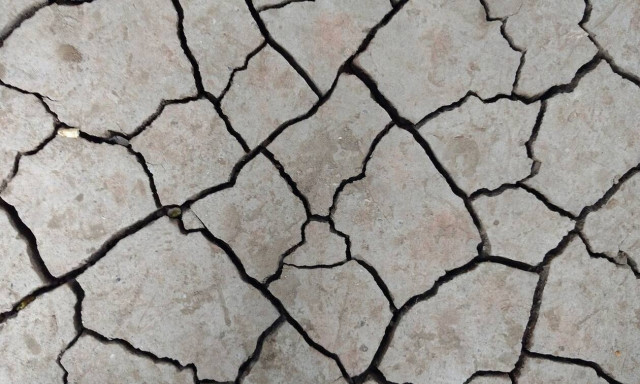 Σεισμοί στη Θήβα - Γεράσιμος Παπαδόπουλος στο Newsbomb.gr: «Ίσως είμαστε σε μια φάση έξαρσης»