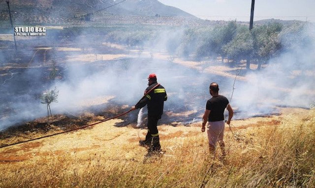 Φωτιά στην Αργολίδα - Κινητοποιήθηκαν επίγειες και εναέριες δυνάμεις (pics)