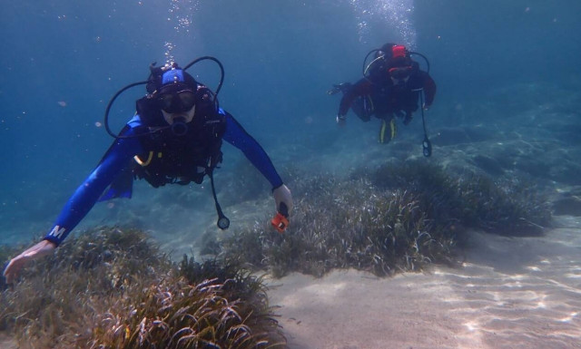Κοράλλια, απέραντο γαλάζιο και ηρεμία... Μια κατάδυση στον «μαγικό» βυθό της Καλύμνου