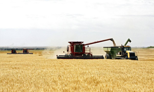 ΟΗΕ: Μικρή πτώση στις παγκόσμιες τιμές των τροφίμων - Πανάκριβο παραμένει το σιτάρι