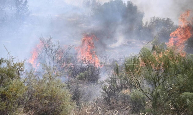 Εκπρόσωπος Πυροσβεστικής: Κρίσιμα τα επόμενα λεπτά - Aνησυχία για επέκταση της πυρκαγιάς στη Βούλα
