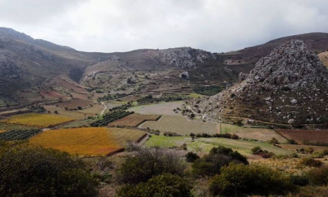 5 λεπτά αυθεντικής Κρητικής ομορφιάς στα Αστερούσια όρη