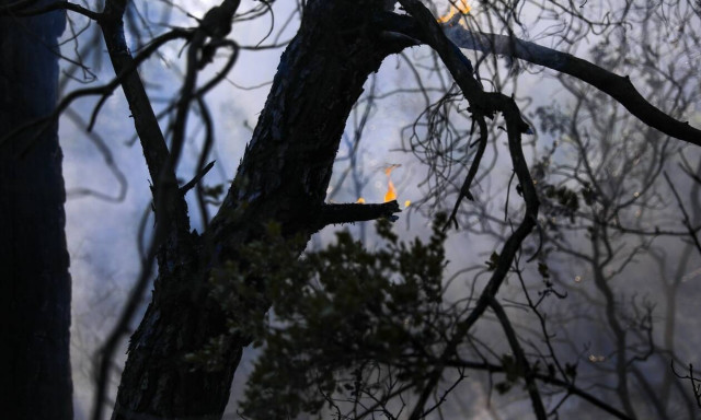 Προσπάθησαν να βάλουν φωτιά στη Μαλακάσα – Προσαγωγή υπόπτου