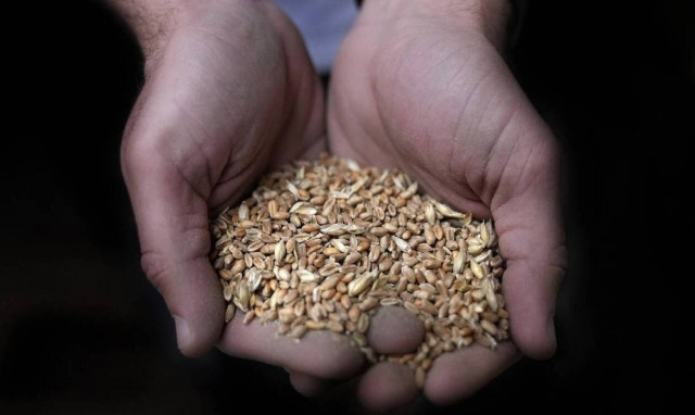 Το Λονδίνο ζητά έρευνα για τη φερόμενη κλοπή ουκρανικών σιτηρών από τη Ρωσία