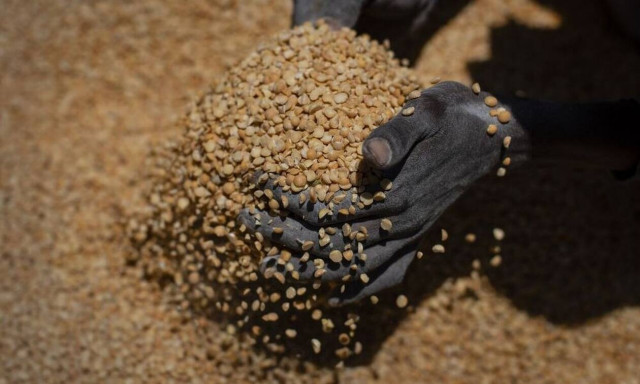 Φάκελος επισιτιστική κρίση: Ο πλανήτης εκπέμπει «SOS» - Πώς φτάσαμε εδώ, ποιες οι λύσεις