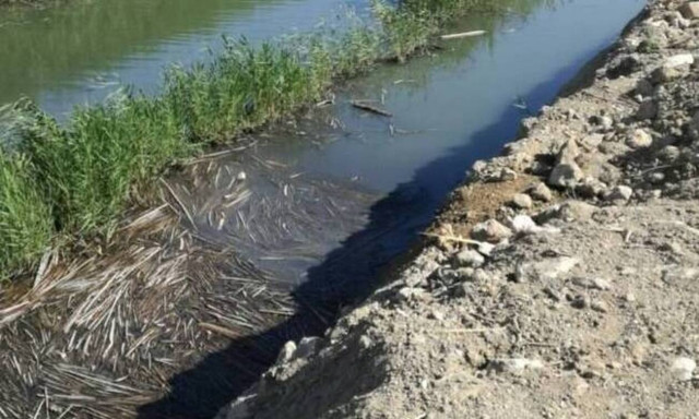 Ηράκλειο: Κάτοικοι στο Γιόφυρο ζουν μαζί με την δυσοσμία των λυμάτων (pic - vid)