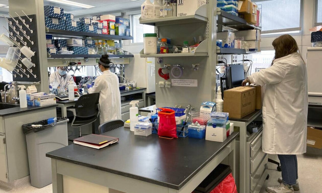 Βραζιλία: Πρώτο κρούσμα της ευλογιάς των πιθήκων καταγράφηκε στη χώρα