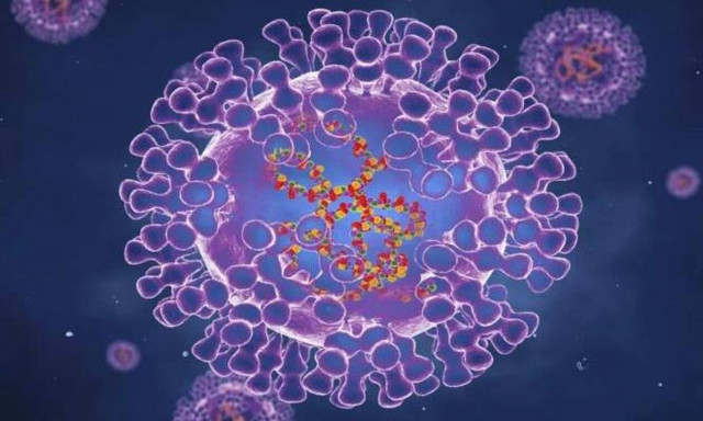 Συναγερμός στην Κύπρο: Ύποπτο κρούσμα ευλογιάς των πιθήκων