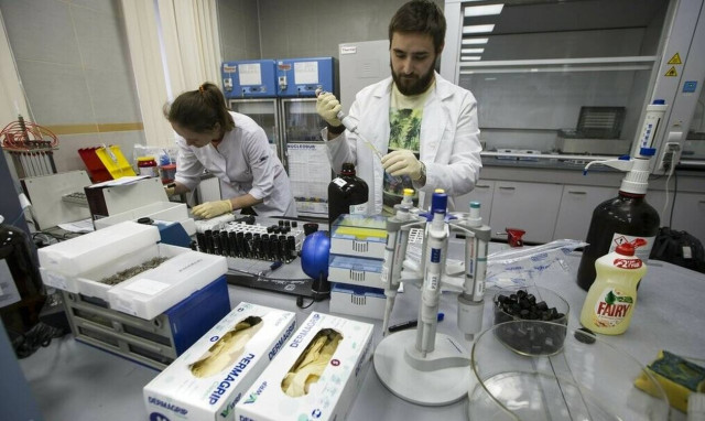 Νέο φάρμακο «εξαφάνισε» τον καρκίνο του παχέος εντέρου απο ασθενείς - Επαναστατική θεραπεία