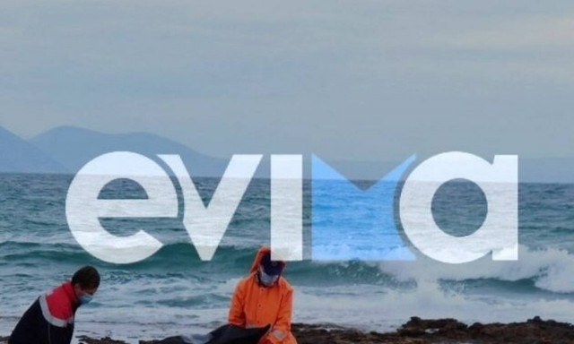 Τραγωδία στην Εύβοια: Νεκρή 66χρονη στο Πευκί