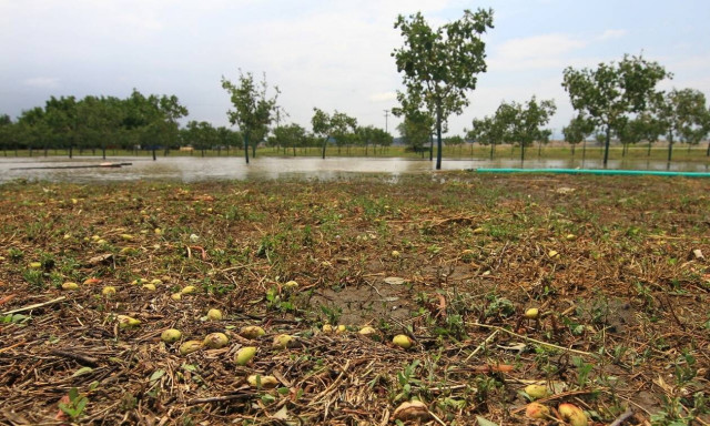 ΕΛΓΑ: Η κακοκαιρία «Genesis» φέρνει 130 προσλήψεις γεωπόνων