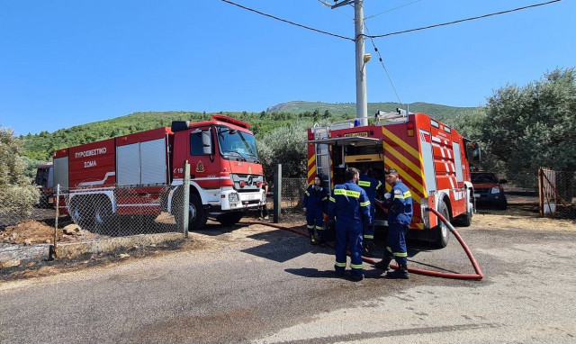 Ασπρόπυργος: Υπό μερικό έλεγχο η πυρκαγιά που ξέσπασε σε δασική έκταση