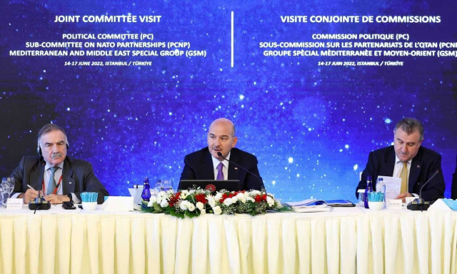 Νέο επεισόδιο Σοϊλου με Έλληνες βουλευτές: «Πνίγετε μετανάστες, βοηθάτε τρομοκράτες» - Πώς απάντησαν