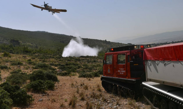 Φωτιά σε δασική έκταση στο Αετοχώρι Αλεξανδρούπολης