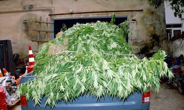 Σχέδιο ΕΛ.ΑΣ. για τις «χρυσές» φυτείες κάνναβης στην Κρήτη – Τα «φυλάκια» και τα «ξυσμένα» όπλα