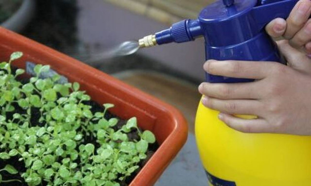 Κόρινθος: Ράντισε την σύζυγό του και στη συνέχεια την χτύπησε με τον ψεκαστήρα