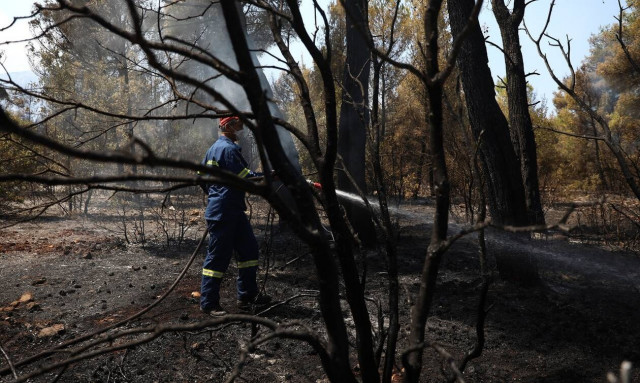 Φωτιά πυροσβεστική
