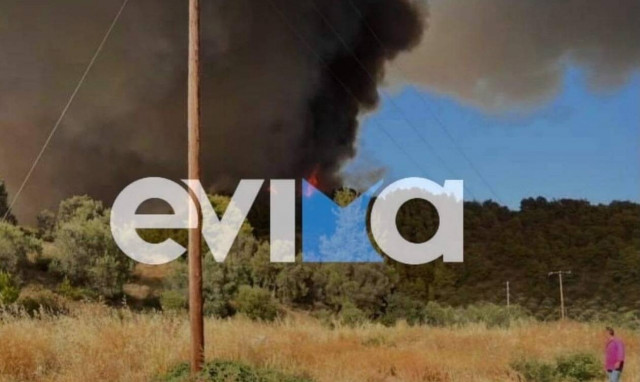 Φωτιά τώρα στην Εύβοια – Ισχυροί άνεμοι στην περιοχή