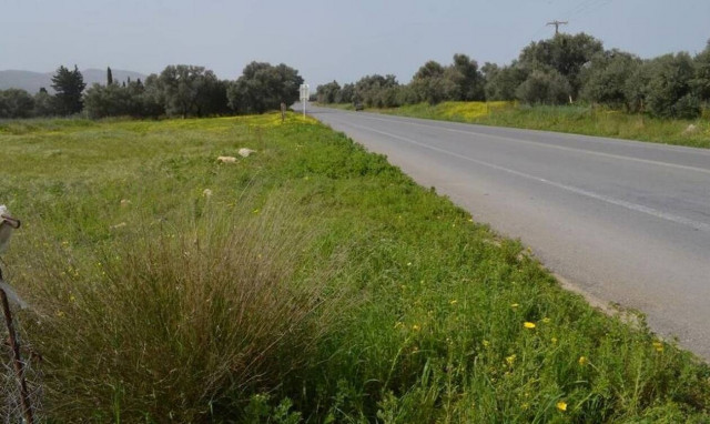 Ρέθυμνο: Τον βρήκε νεκρό ο γιος του στο χωράφι