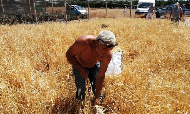 Ένας σιτοβολώνας από τα παλιά, στην τουριστική Ιεράπετρα