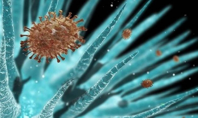 Πολιομυελίτιδα στα λύματα του Λονδίνου - Από πού προήλθε