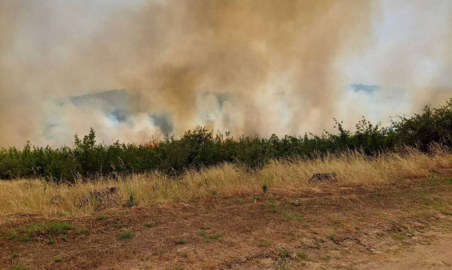 Φωτιά στην Πέλλα: Ενισχύθηκαν οι δυνάμεις – Στη «μάχη» ελικόπτερο και πέντε αεροσκάφη