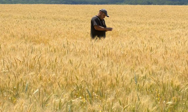 Ο ΟΗΕ ίσως διαπραγματευτεί συμφωνία για τις εξαγωγές σιτηρών απευθείας με τη Μόσχα και το Κίεβο