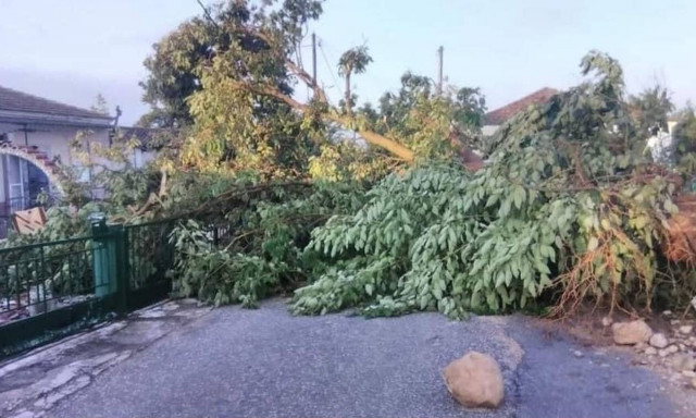 Σέρρες: Σε κατάσταση έκτακτης ανάγκης θα κηρυχθούν οι Δήμοι Νέας Ζίχνης και Αμφίπολης