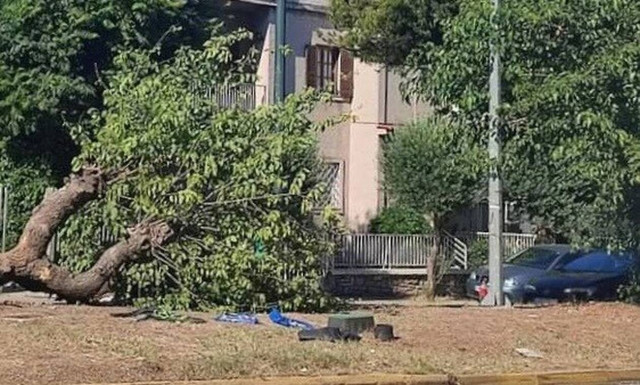 Τροχαίο στο Χαλάνδρι: Δεν είχε δίπλωμα ο 18χρονος που σκοτώθηκε - Συνελήφθη ένας 20χρονος