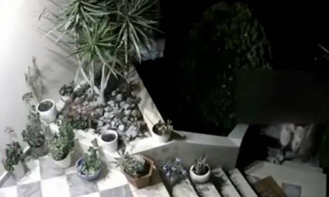 Κρήτη - Απίθανη κλοπή: Εισέβαλε στην αυλή σπιτιού και άρπαξε το χαλάκι της εξώπορτας