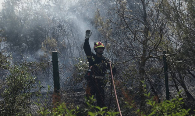 Φωτιά τώρα: Μεγάλη πυρκαγιά στην Ηλεία