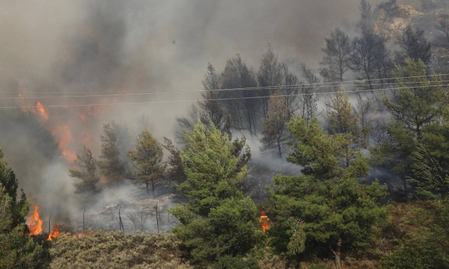 Φωτιά: Συναγερμός στην Πυροσβεστική για πυρκαγιές