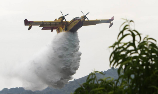 Φωτιά στην Ηλεία: Αναζωπύρωση στην περιοχή Βάλμη – Μεγάλη κινητοποίηση της πυροσβεστικής