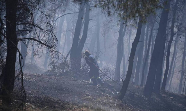 Porto Germeno fire is decaying fast, says Fire Brigade spox; 65 wildfires nationwide in last 24 hrs