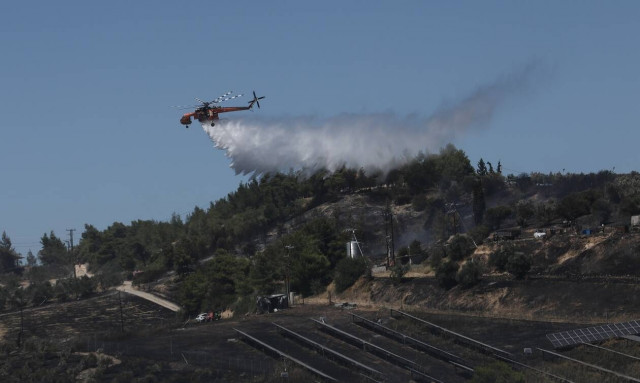 Δασική πυρκαγιά