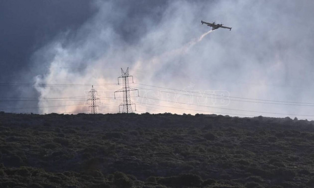 Φωτιά: Σε δύο μέτωπα η μάχη στη Φωκίδα - Μεγάλες οι καταστροφές - Το Newsbomb.gr στην Ιτέα