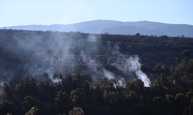 Φωτιά στην Ιτέα: Η πρώτη εκτίμηση για τις καμένες εκτάσεις
