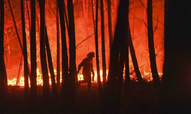 Πορτογαλία: Η χώρα αντιμέτωπη με παρατεταμένο κύμα καύσωνα και δασικές πυρκαγιές