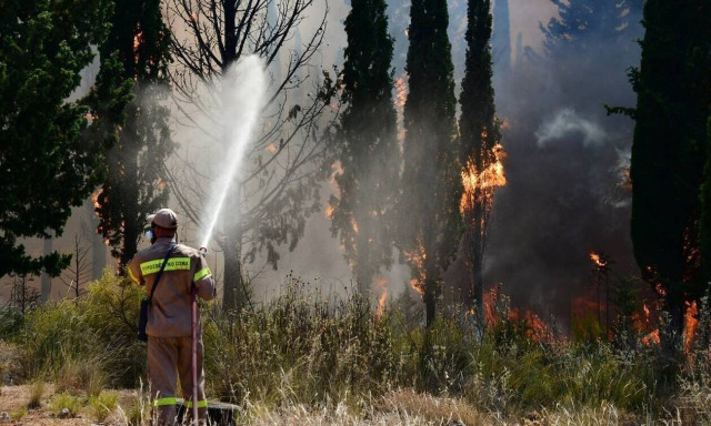 Φωτιά στην Ηλεία: Συνεχίζεται η κατάσβεση, δεν ζητήθηκαν εναέρια μέσα