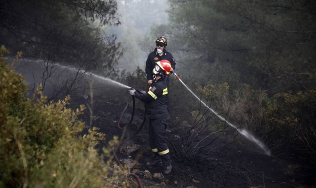 Φωτιά τώρα στην Εύβοια - Καίει δασική έκταση