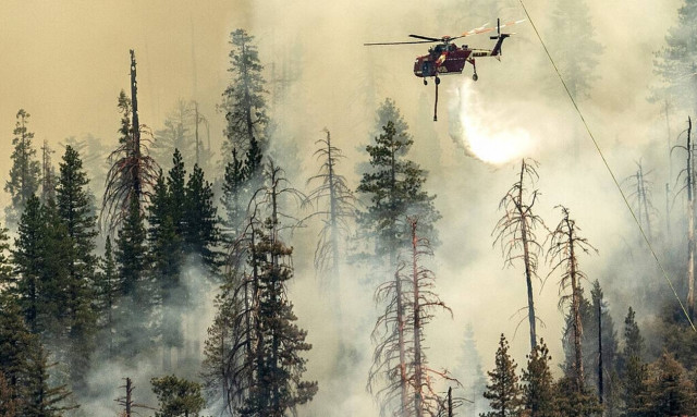 ΗΠΑ: Τεράστια πυρκαγιά απειλεί τις γιγαντιαίες σεκόγιες στο πάρκο Γιοσέμιτι