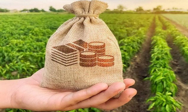 ΥΠΑΑΤ: Βιολογικά προγράμματα ύψους 705 εκατ. ευρώ - Πάνω από 56.000 οι δικαιούχοι (πίνακας με ποσά)