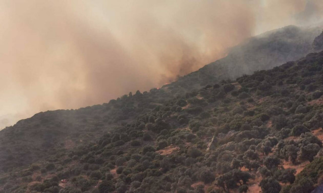 Φωτιά στη Σάμο: Μεγάλο το μέτωπο – Ξεκίνησαν τα εναέρια μέσα – Ανησυχία για τους ανέμους
